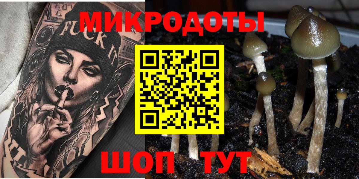Галлюциногенные грибы прущие грибы  Вход с VPN  Новороссийск  Псилоцибиновые грибы мухоморы 