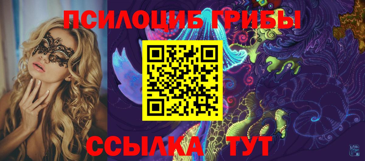 Галлюциногенные грибы мухоморы Новороссийск